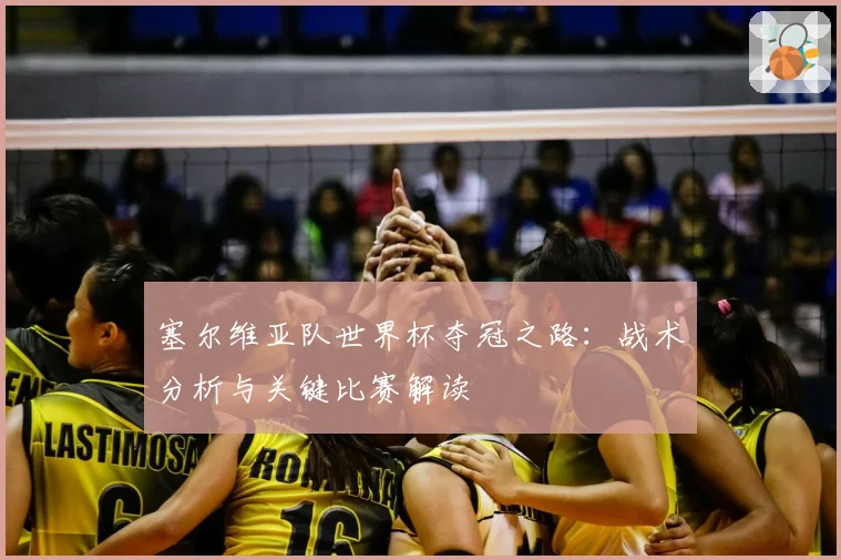 塞尔维亚队世界杯夺冠之路：战术分析与关键比赛解读
